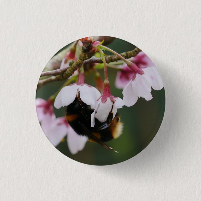 Hummel in Blüten Abzeichen Button (Vorderseite)
