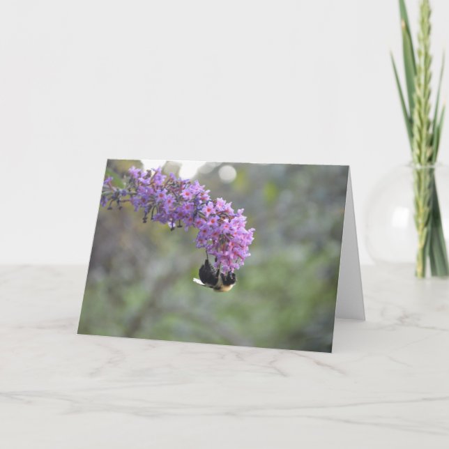 Hummel Karte (Vorderseite)