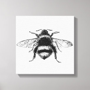 Hummel-Leinwanddruck Leinwanddruck