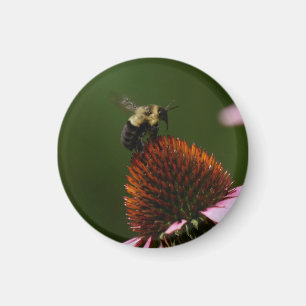 Hummel Magnet