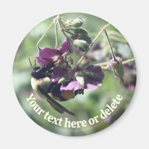 Hummel mit Blütenpollen Natur Personalisiert Magnet
