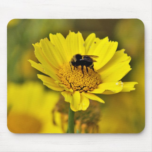 Hummel mousepad (Vorne)