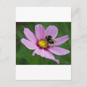 Hummel Postkarte