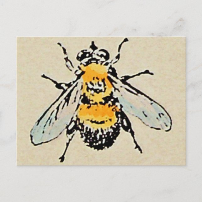 Hummel Postkarte (Vorderseite)