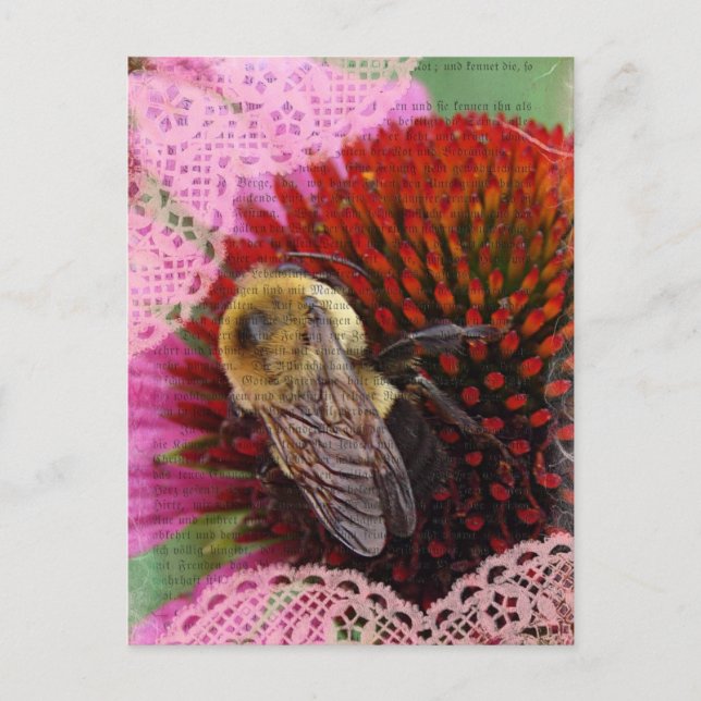 Hummel Postkarte (Vorderseite)