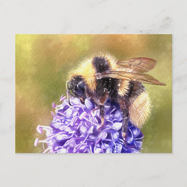 Hummel Postkarte (Vorderseite)