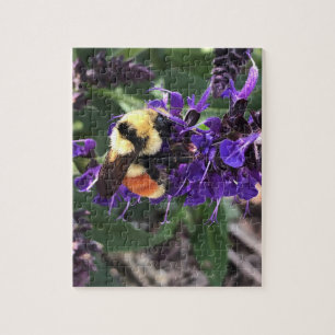 Hummel Puzzle