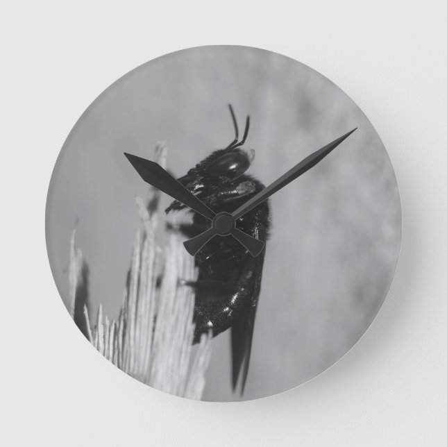 Hummel Runde Wanduhr (Vorderseite)