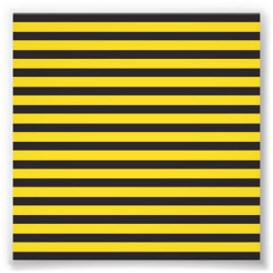 Hummel Schwarz Gelbe Horizontale Linien Hummel Fotodruck