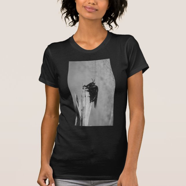 Hummel T-Shirt (Vorderseite)