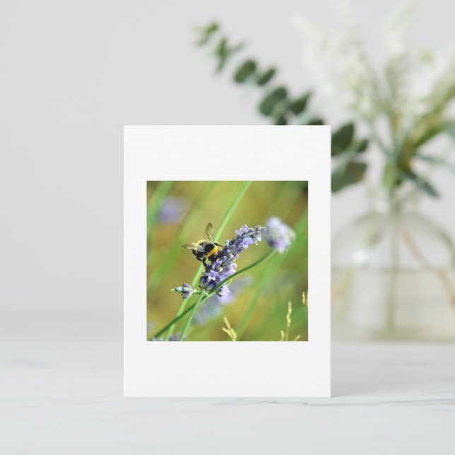 Hummel und Lavendel Postkarte (Stehend Vorderseite)