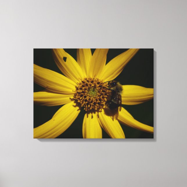 Hummel und Sonnenblumen Leinwanddruck (Vorderseite)