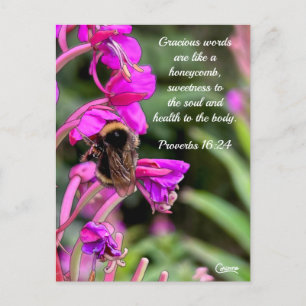 Hummelbibel Verse - Postkarte