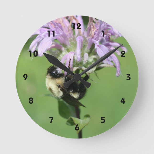 Hummelbiene auf Lila Bienenbalsam-Blume Runde Wanduhr (Vorderseite)