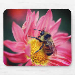 Hummelbiene auf rosa Daisy-Blume Mousepad