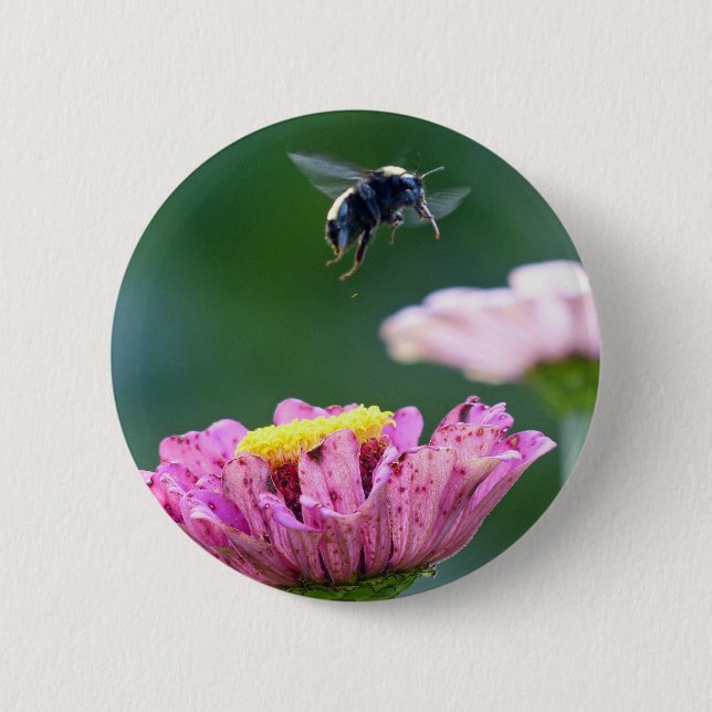 Hummelflug Button (Vorderseite)