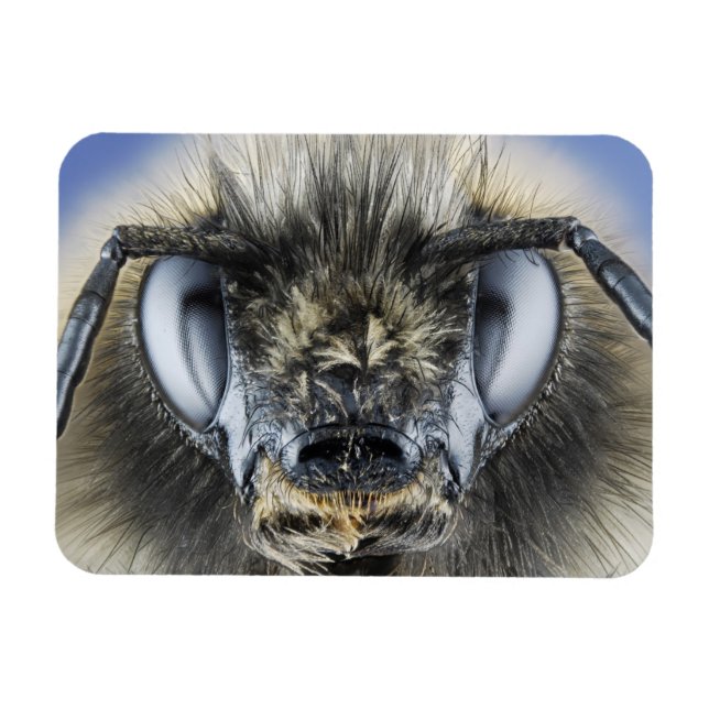 Hummelleiter Magnet (Horizontal)