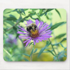 Hummeln am Lila Daisy Mousepad