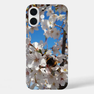 Hummeln auf der Blüte der Wildkirsche iPhone 16 Plus Hülle