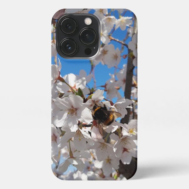 Hummeln auf der Blüte der Wildkirsche iPhone Hülle (Rückseite)