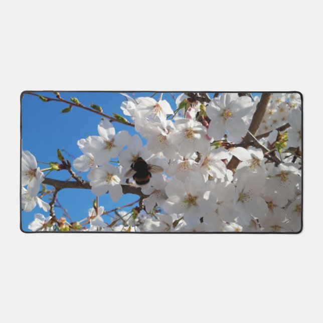 Hummeln auf der Blüte der Wildkirsche Schreibtischunterlage (Vorderseite)