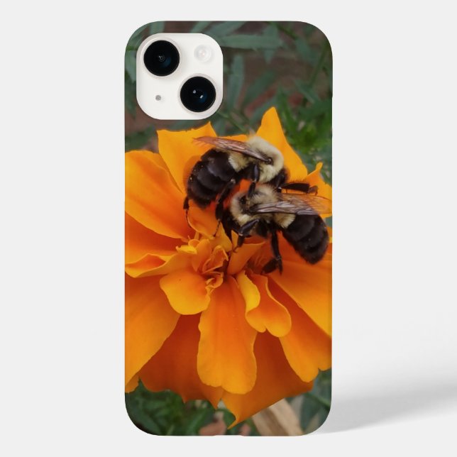 Hummeln auf der Marigold-Blume Case-Mate iPhone Hülle (Rückseite)
