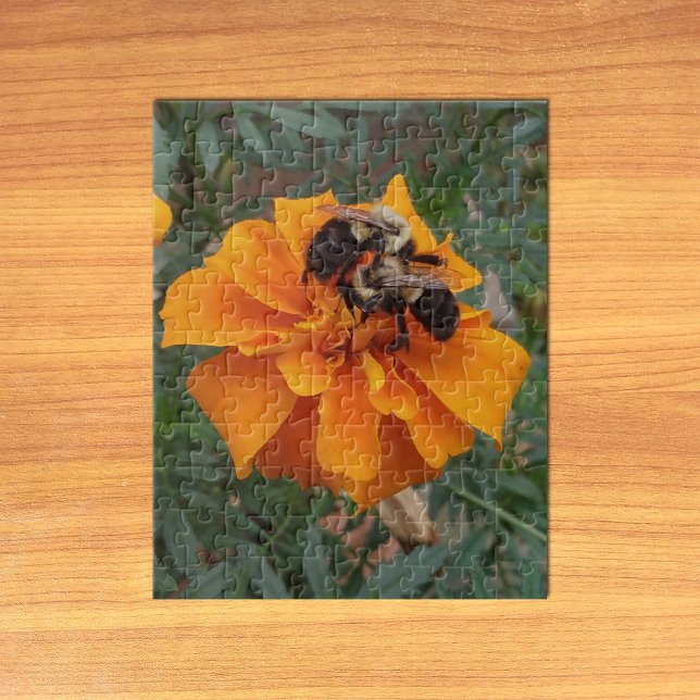 Hummeln auf der Marigold-Blume Puzzle (Bumblebees on Marigold Flower Jigsaw Puzzle on Table)