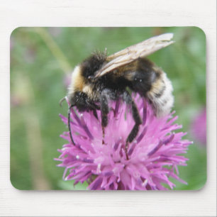 Hummeln auf einem Thistle-Mousepad Mousepad