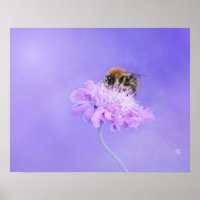 Hummeln auf einer Lila Blume