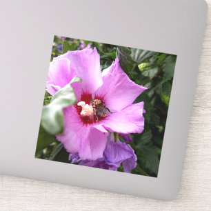 Hummeln auf Hibiskus Blume Aufkleber