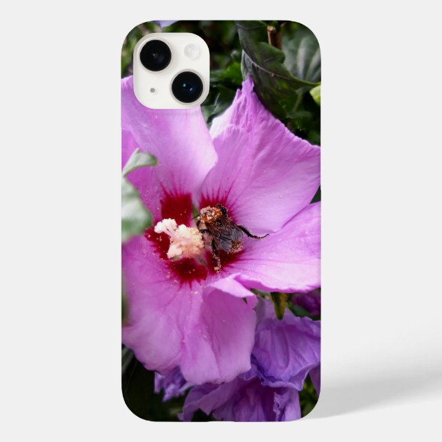 Hummeln auf Hibiskus Blume Case-Mate iPhone Hülle (Rückseite)
