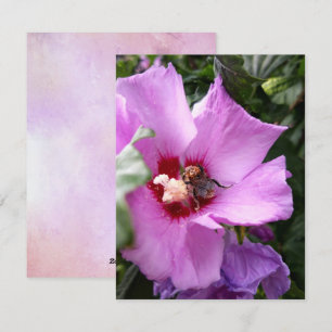 Hummeln auf Hibiskus Blume Feiertagskarte