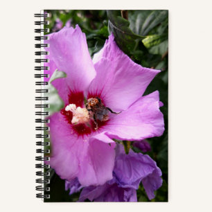 Hummeln auf Hibiskus Blume Notizbuch