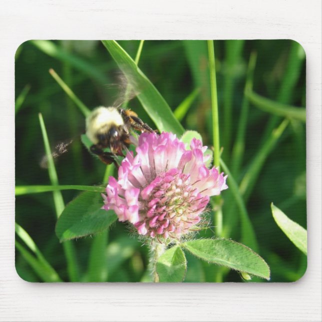 Hummeln auf Red Clover Mousepad (Vorne)