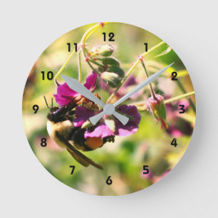 Hummeln auf rosa Blume Nah  Runde Wanduhr