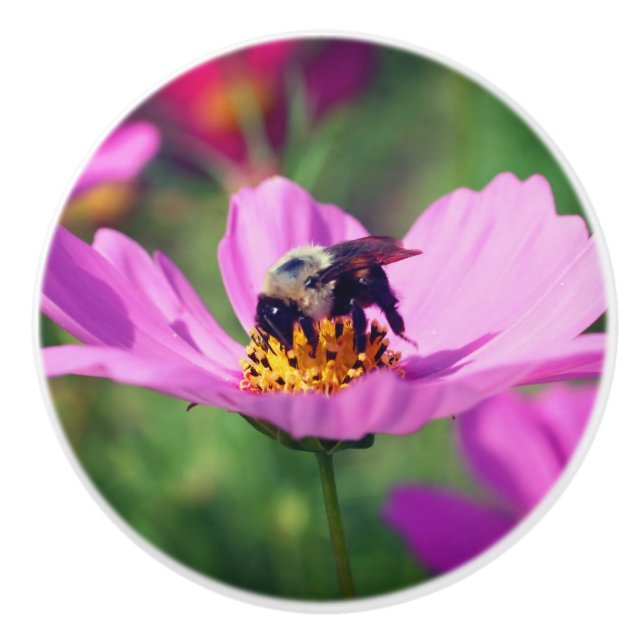 Hummeln auf rosa Kosmos-Blume Keramikknauf (Vorderseite)