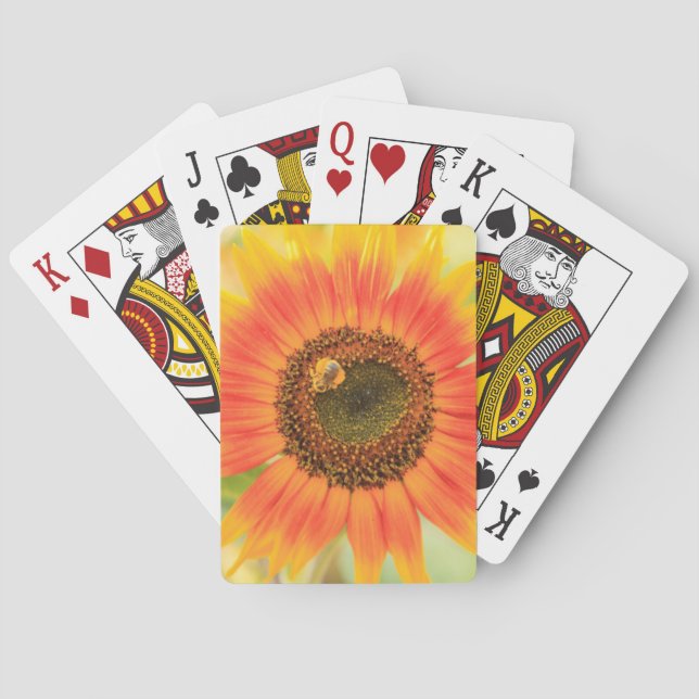Hummeln auf Sonnenblume, Gemeindegarten Spielkarten (Rückseite)