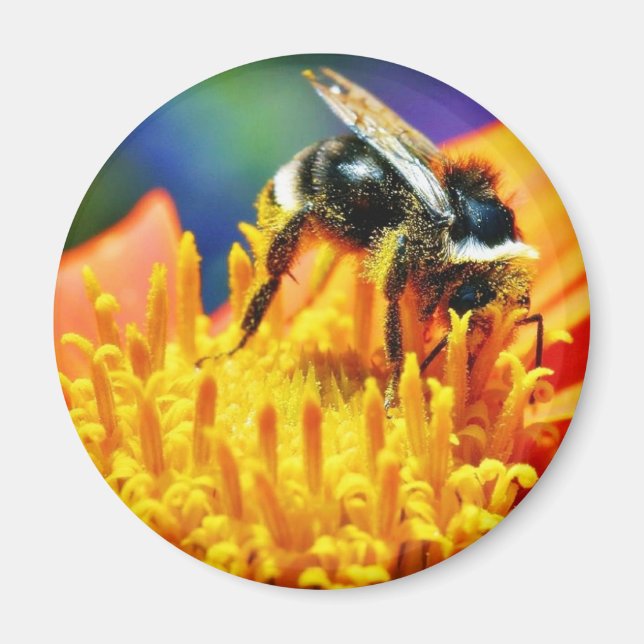 Hummeln Blumen Makro Magnet (Vorne)