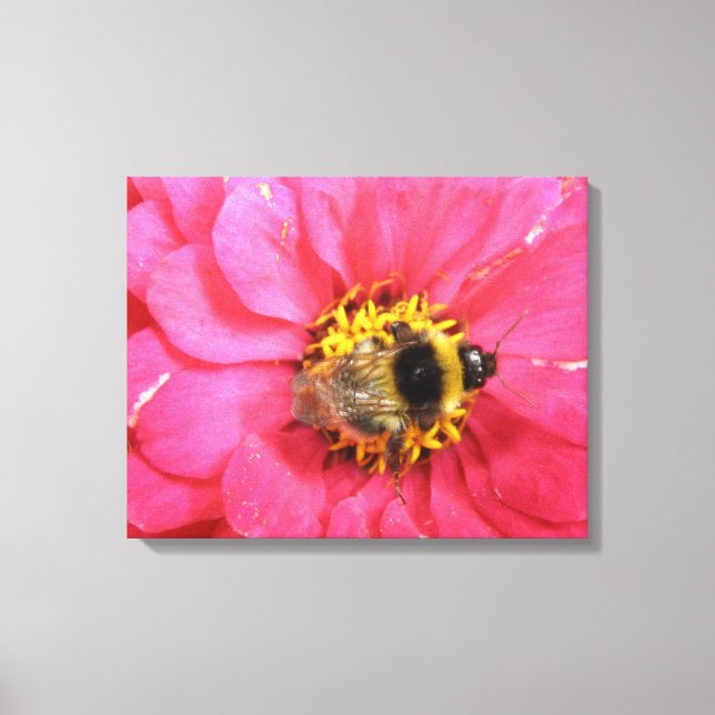 Hummeln Canvas Print Leinwanddruck (Vorderseite)