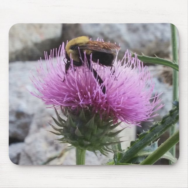 Hummeln ernten eine Lila Thristle-Blume Mousepad (Vorne)