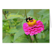Hummeln in rosa Zinnia Denken Sie an Ihre Karte