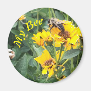 Hummeln Pollinieren einer gelben Blume Magnet