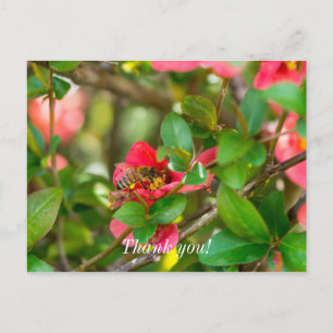 Hummeln und Azalea Danke, Postkarte