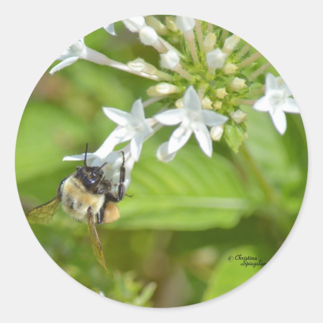 Hummeln und Blume Runder Aufkleber (Vorderseite)