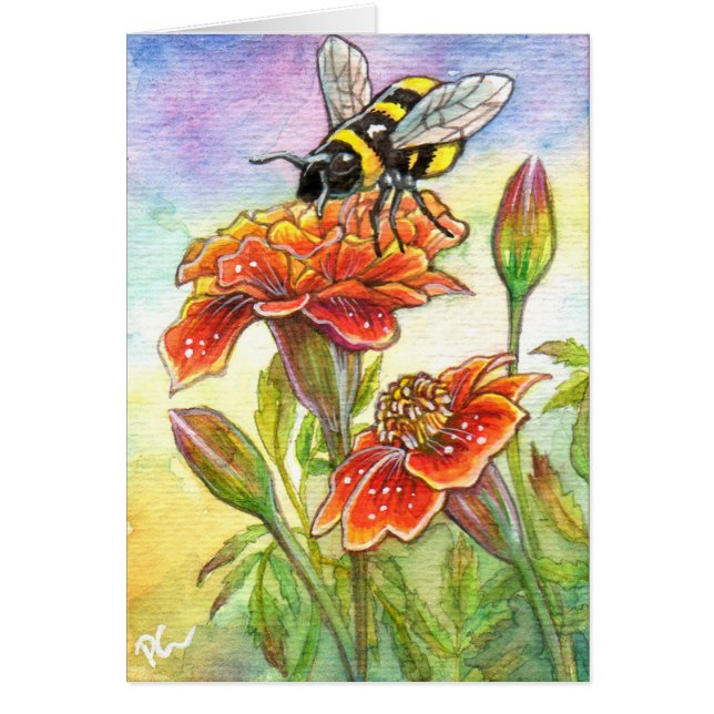 Hummeln und Marigold (Vorne)