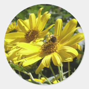 Hummeln und Sonnenblume Runder Aufkleber