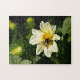 Hummeln und weißes Dahlia-Foto Puzzle