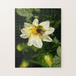 Hummeln und weißes Dahlia-Foto Puzzle
