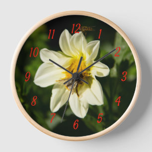 Hummeln und weißes Dahlia-Foto Uhr