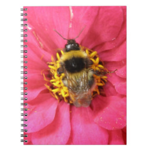 HummelNotebook Notizblock